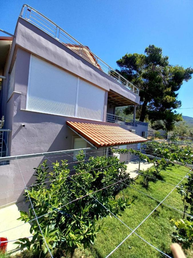 Guesthouse Eirini Porto Germeno Ngoại thất bức ảnh